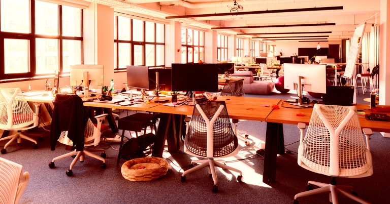 Open-plan office space with multiple workstations featuring wooden desks, ergonomic white mesh chairs, and computer monitors. Large windows along one side allow natural light to fill the room. The office has a modern design with a carpeted floor, some personal items on desks, and a pet bed on the floor. In the background, there are lounge areas with sofas and additional seating.