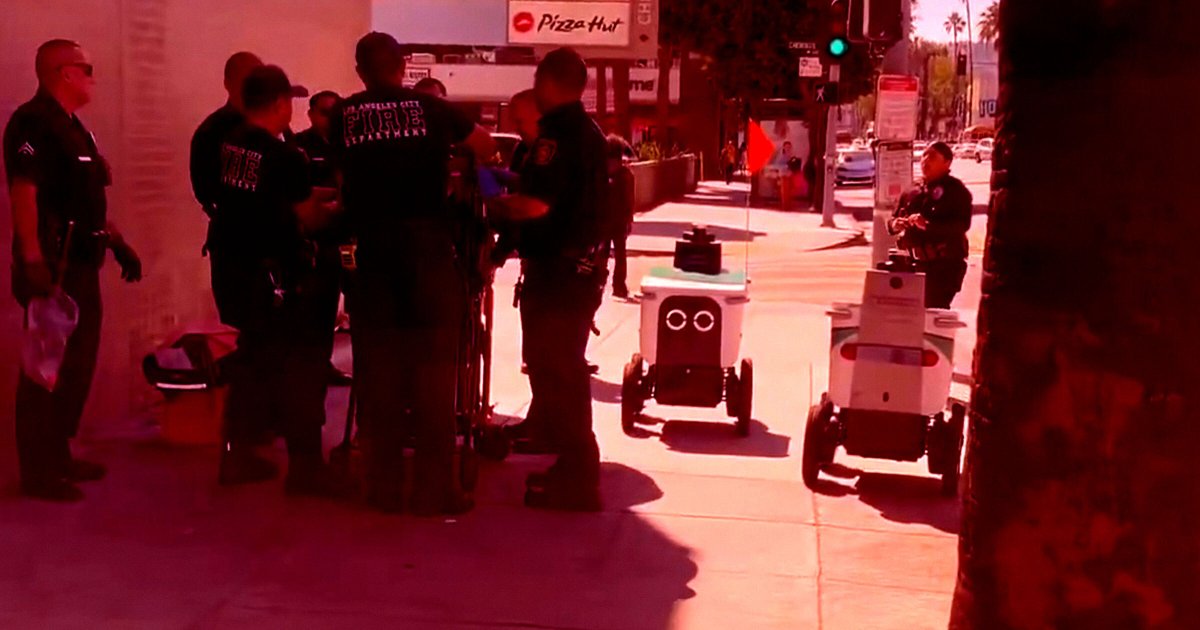Two Delivery Bots Blunder Into the Middle of a Police Incident, Have Awkward Standoff