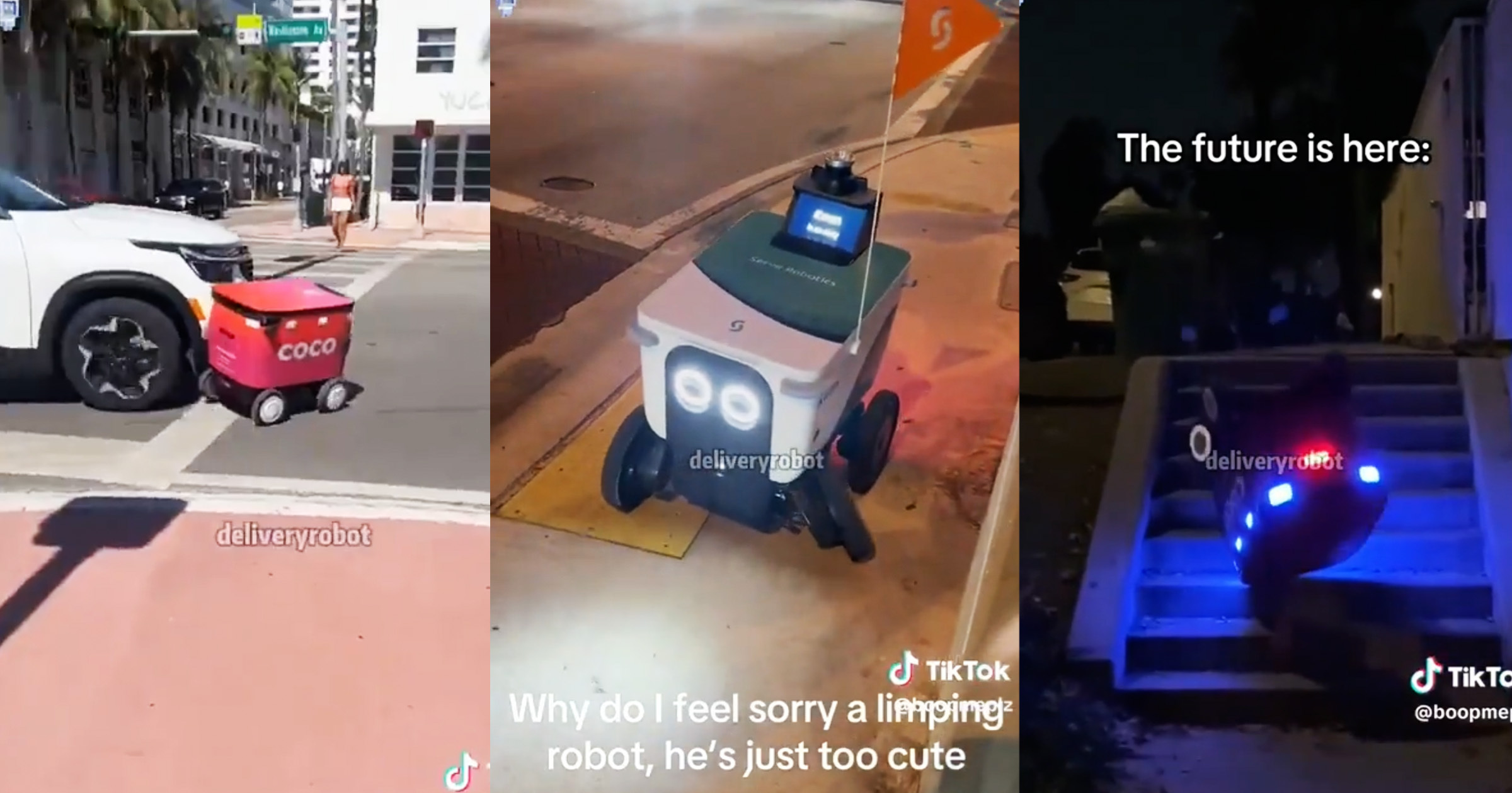 futurism.com - Joe Wilkins - Wild Video Shows Delivery Robots Causing Havoc, Getting Obliterated