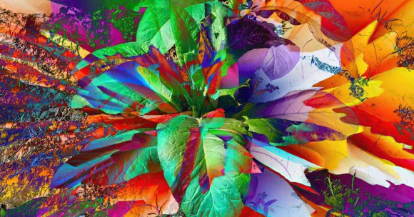 Researchers have created super tobacco plants that can produce five natural psychedelics all at once, and make for one mind-bending trip.