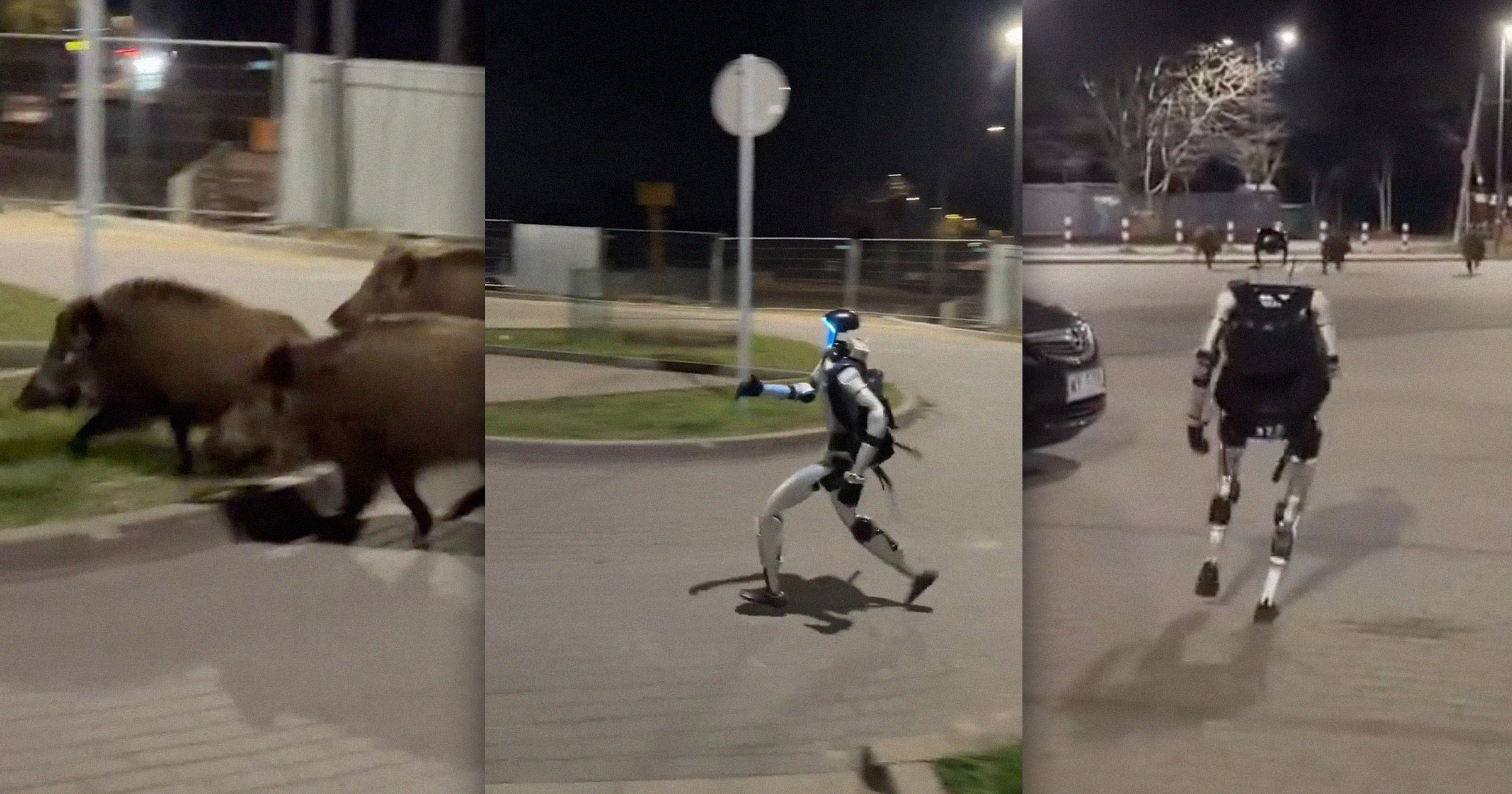 futurism.com - Victor Tangermann - Video Shows Humanoid Robot Chasing a Pack of Wild Boars