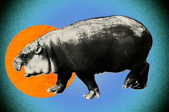 A black and white illustration of Moo Deng, the viral pygmy hippopotamus. The hippo's skin texture is detailed, showing folds and a shiny surface. The overall style has a graphic, slightly grainy effect.