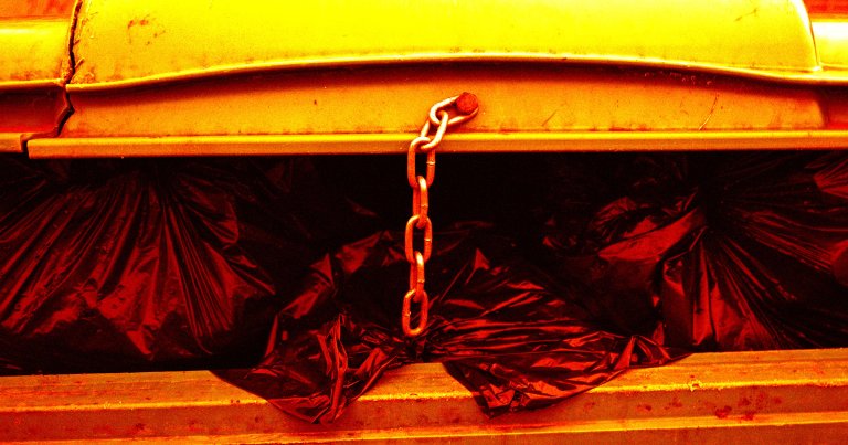 The prime suspect in the murder of two University of South Florida students asked ChatGPT whether to hide a human body in a dumpster.