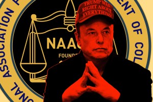 A digitally altered image of Elon Musk with a red overlay, wearing a red hat that reads "TRUMP WAS RIGHT ABOUT EVERYTHING." He is posed with his hands together in front of a background featuring the NAACP (National Association for the Advancement of Colored People) emblem.