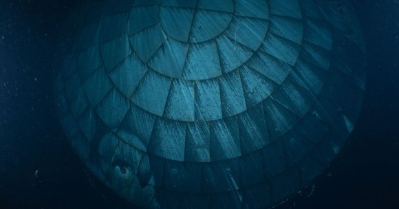 An intriguing photo shows the charred heat shield of NASA's Artemis 2 Orion capsule right after splashdown in the Pacific on April 10.