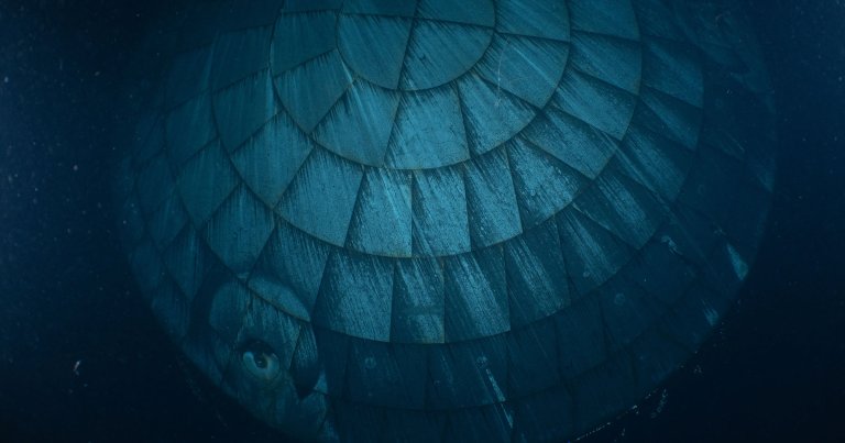 An intriguing photo shows the charred heat shield of NASA's Artemis 2 Orion capsule right after splashdown in the Pacific on April 10.