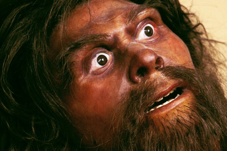 Close-up of a lifelike reconstruction of a prehistoric human face with wide, expressive eyes, a broad nose, and a thick beard and mustache. The skin has a reddish-brown tone, and the hair is long and dark. The expression appears intense or startled.