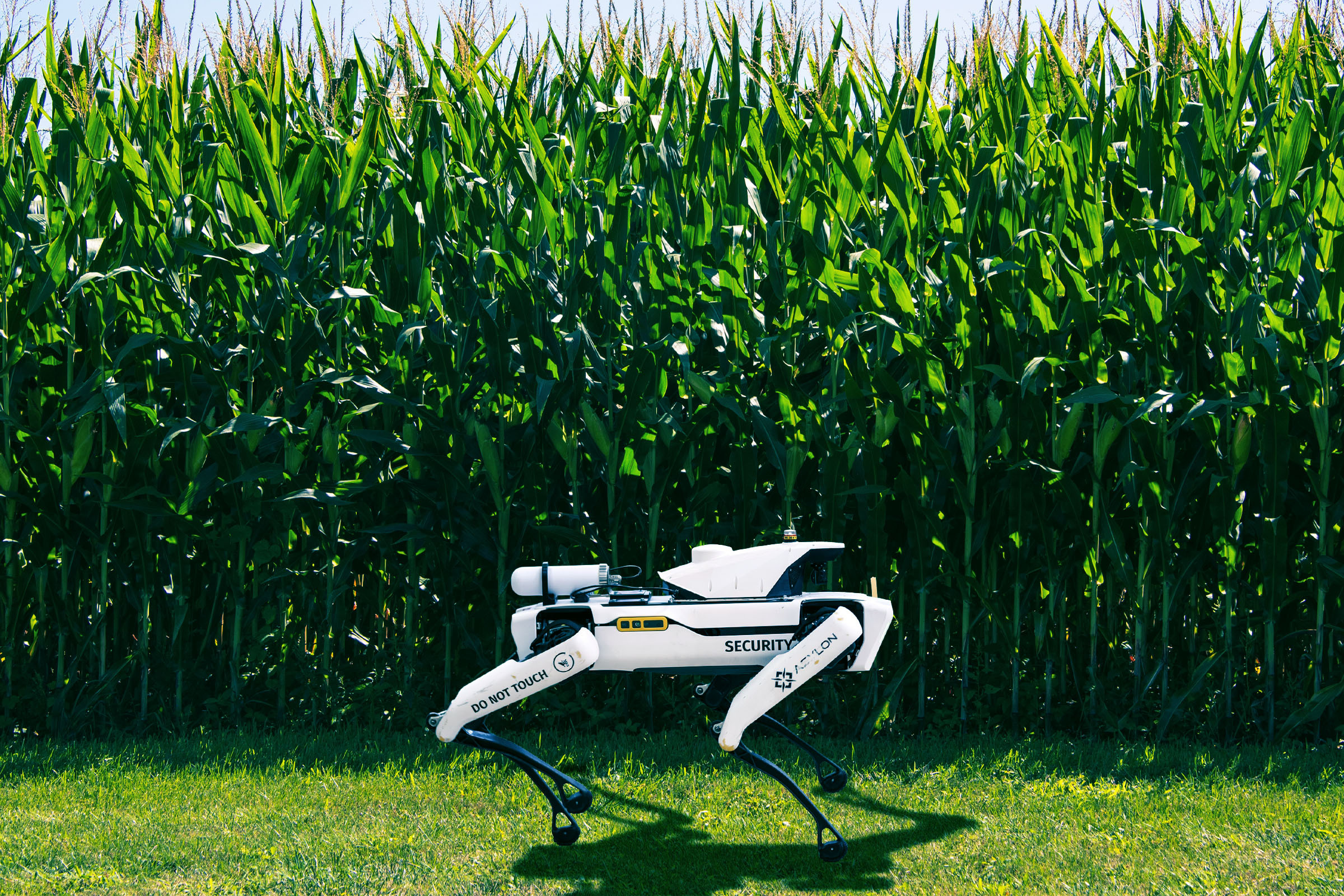 futurism.com - Joe Wilkins - Robot Dogs Patrolling Precious Crops as Food Crisis Deepens