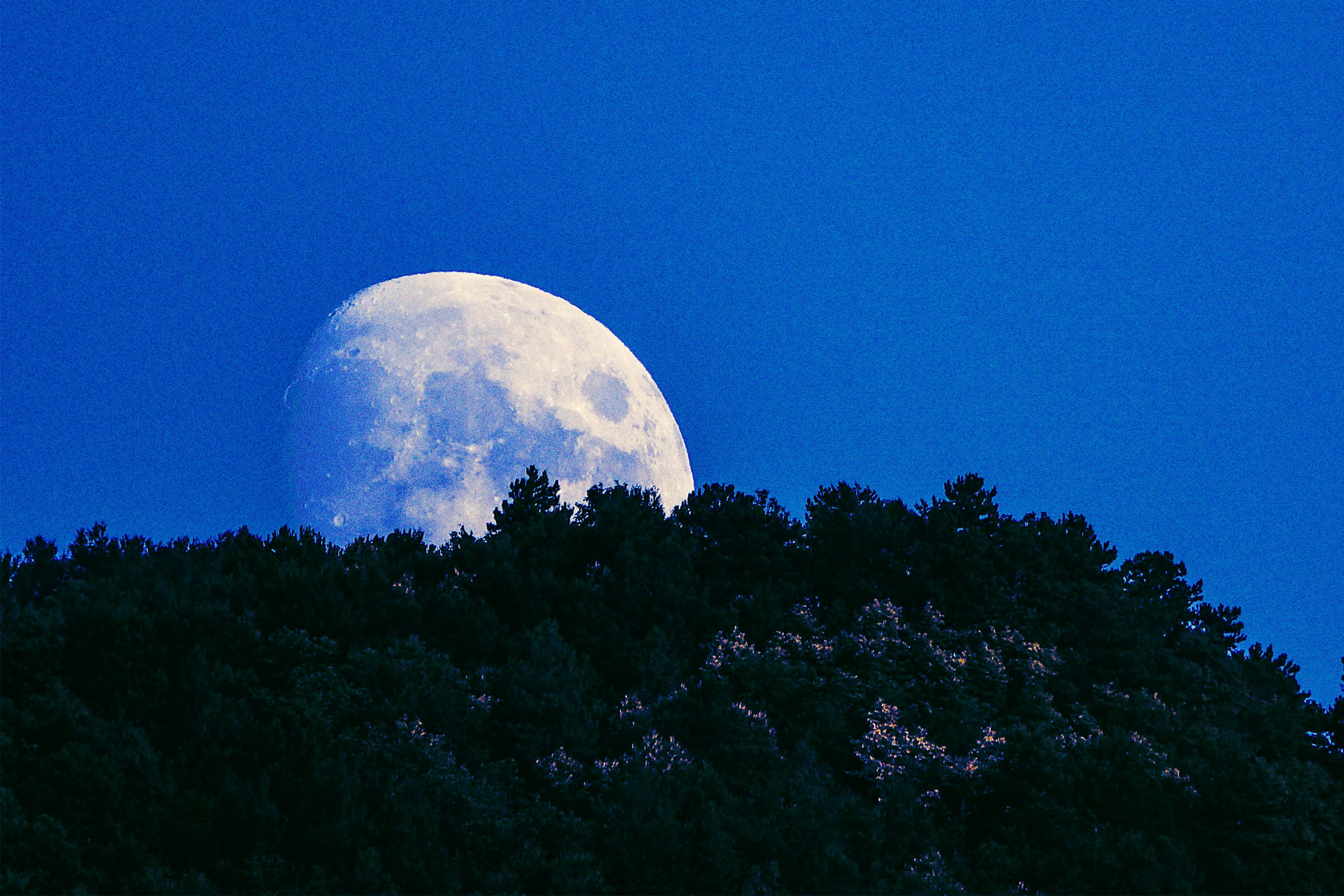 blue-moon-fake.jpg?quality=85&