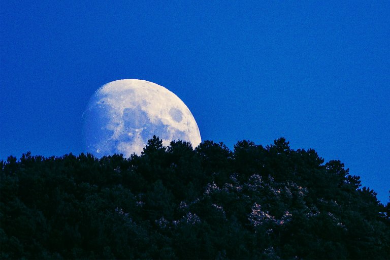 Photograph of the moon rising over trees on a faraway mountainside.