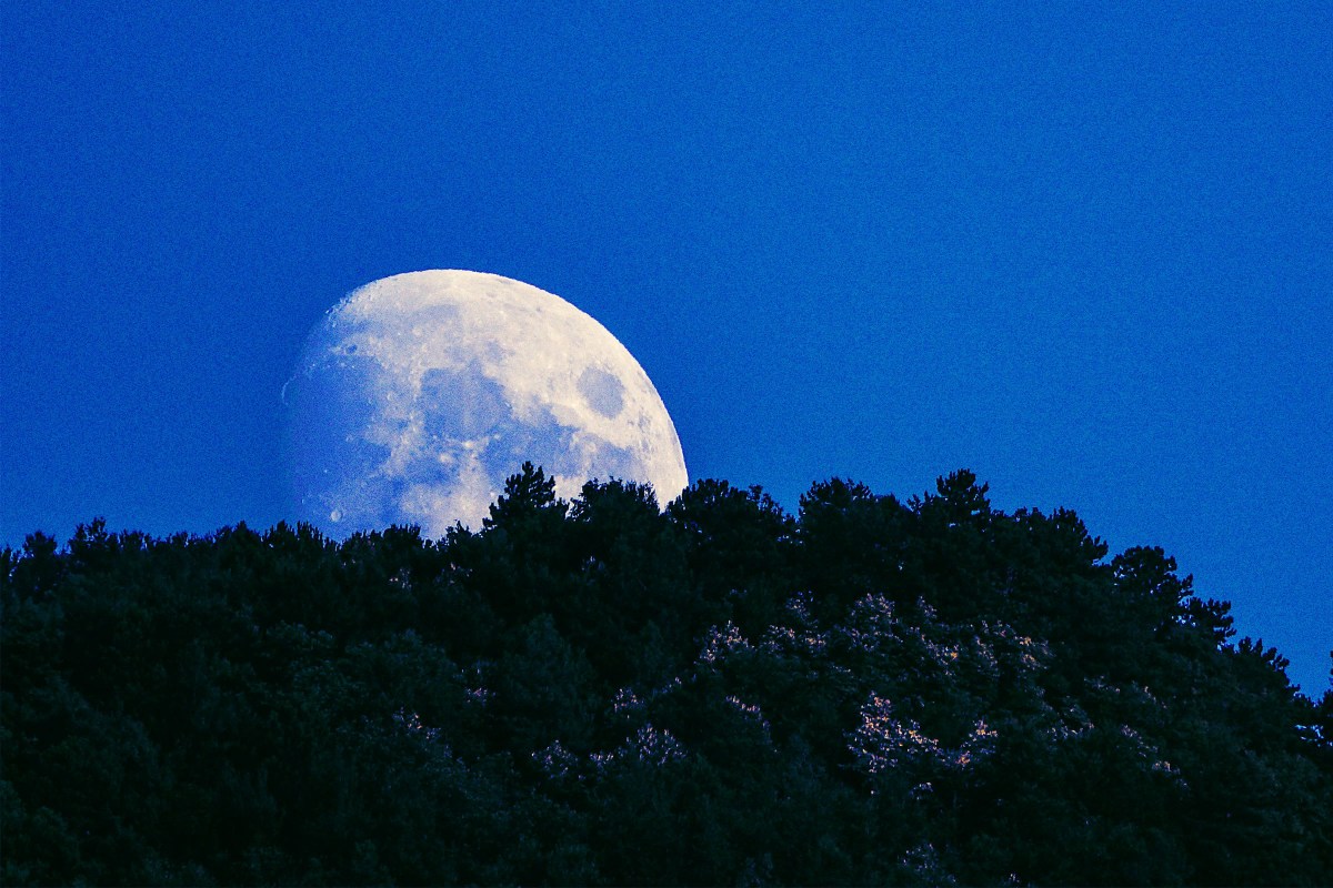 The Blue Moon Is Fake. You Are Being Deceived