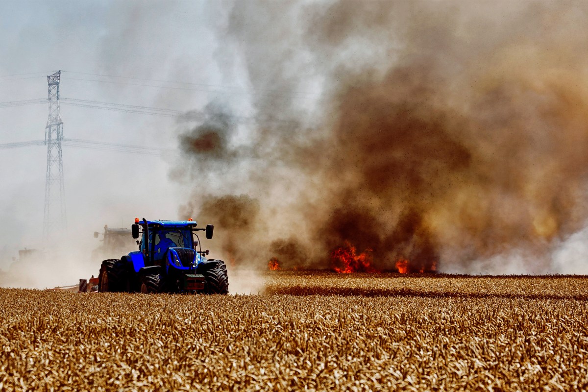 Last Time an El Nino Was This Bad, It Killed 50 Million People