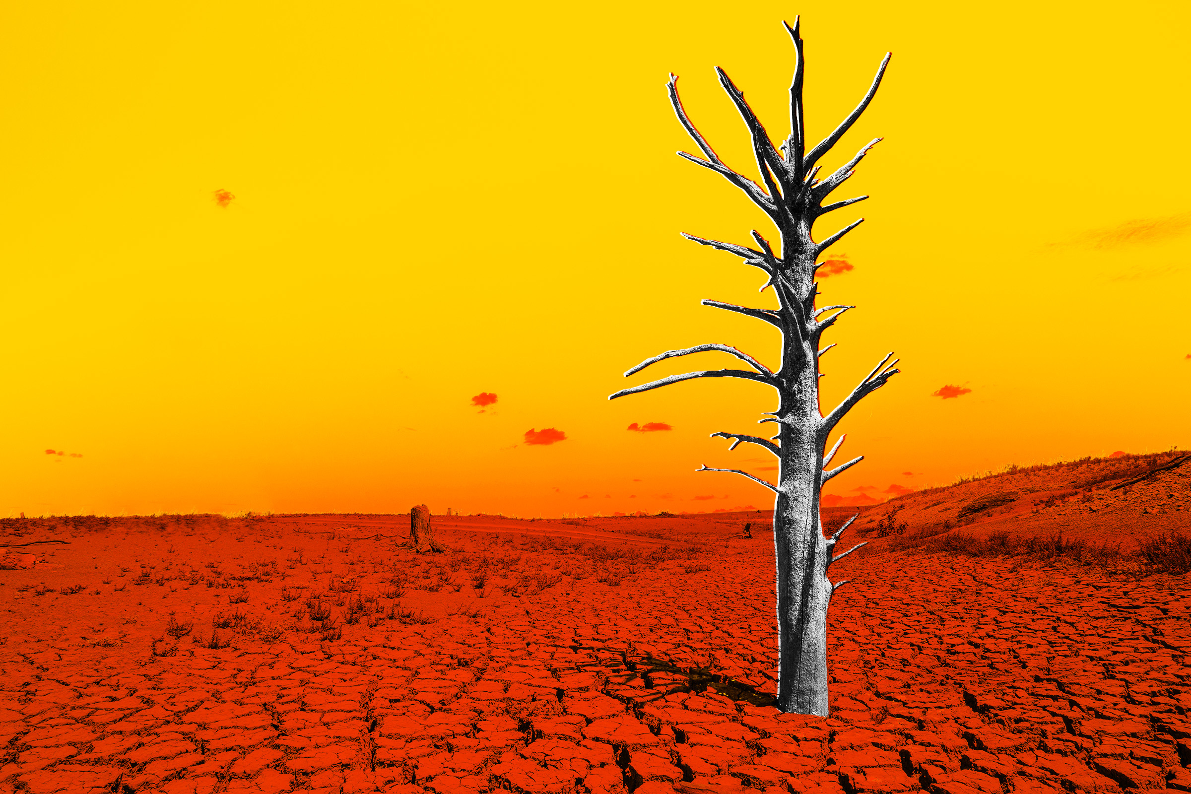 https://futurism.com/science-energy/el-nino-weather-historic-warming social preview image