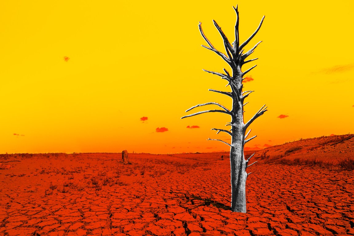 A barren, cracked landscape with a single dead tree trunk standing upright in the foreground. The ground is dry and parched, with small patches of sparse vegetation. The sky is a vivid gradient of yellow to orange, creating a stark contrast with the dark, leafless tree. The overall scene evokes a sense of drought and desolation.