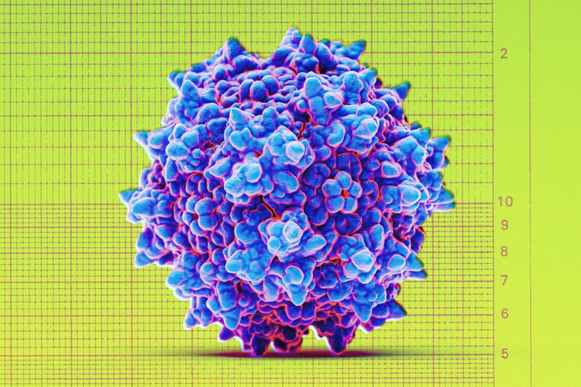A highly magnified, detailed 3D rendering of a virus particle with a spiky, irregular surface. The virus is colored in shades of blue and purple with red highlights, set against a yellow-green background featuring a grid and numerical scale for size reference.