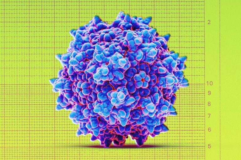 A highly magnified, detailed 3D rendering of a virus particle with a spiky, irregular surface. The virus is colored in shades of blue and purple with red highlights, set against a yellow-green background featuring a grid and numerical scale for size reference.