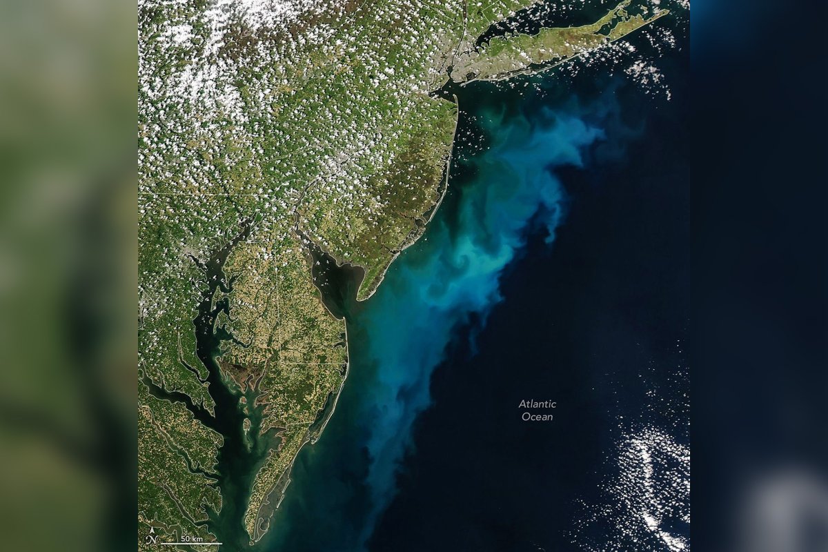 NASA Satellite Images Show Huge Colored Plumes Staining the Ocean