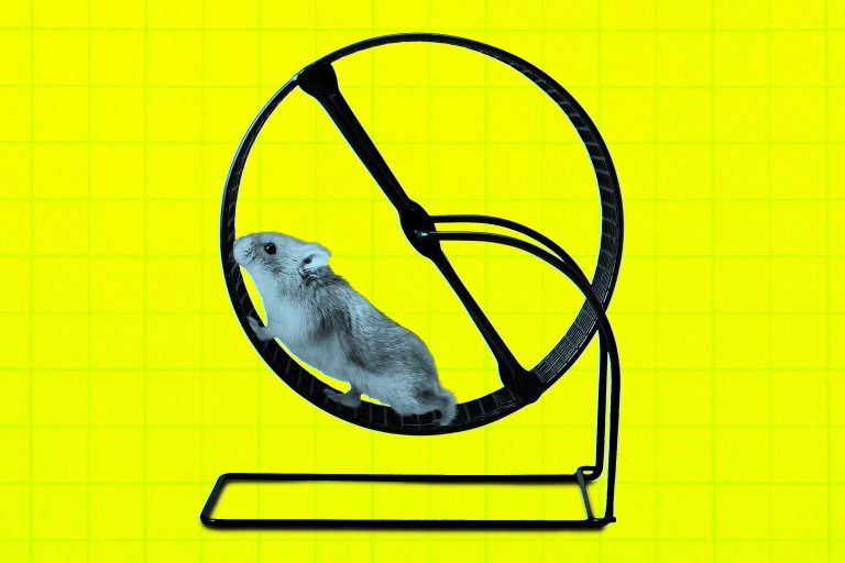 A gray hamster running inside a black exercise wheel against a bright yellow background with a subtle grid pattern.
