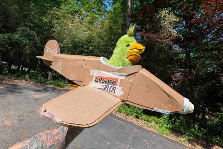 Photograph from Chookie featuring a stuffed bird in a cardboard airplane with the name "Chookie Air" handwritten on the side.