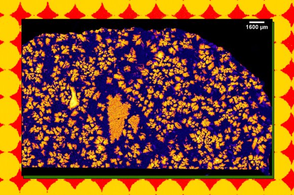 An illustration featuring an X-ray image of NWA 12774.