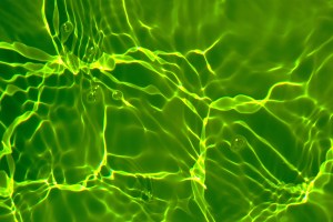 Green-tinted water surface with light reflections creating wavy, glowing patterns and a few small air bubbles.