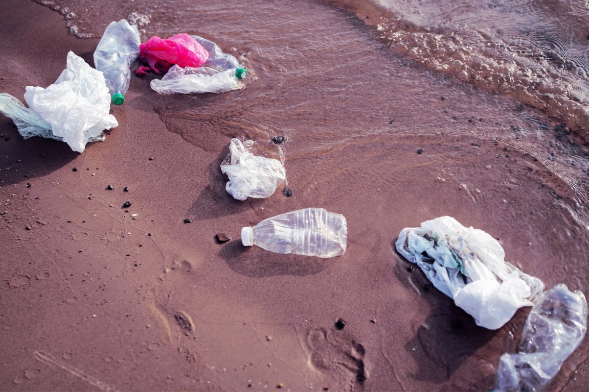 Photograph of garbage collecting on the bank of a river.
