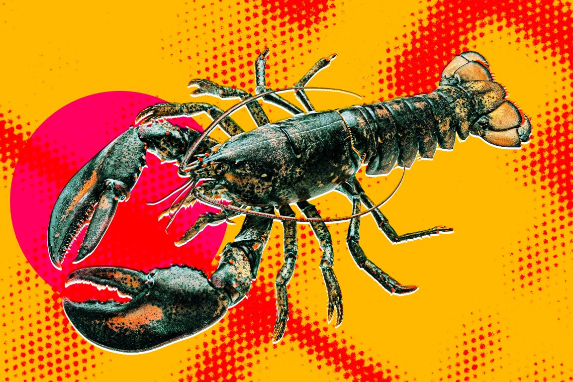 A graphic photo illustration featuring a lobster.