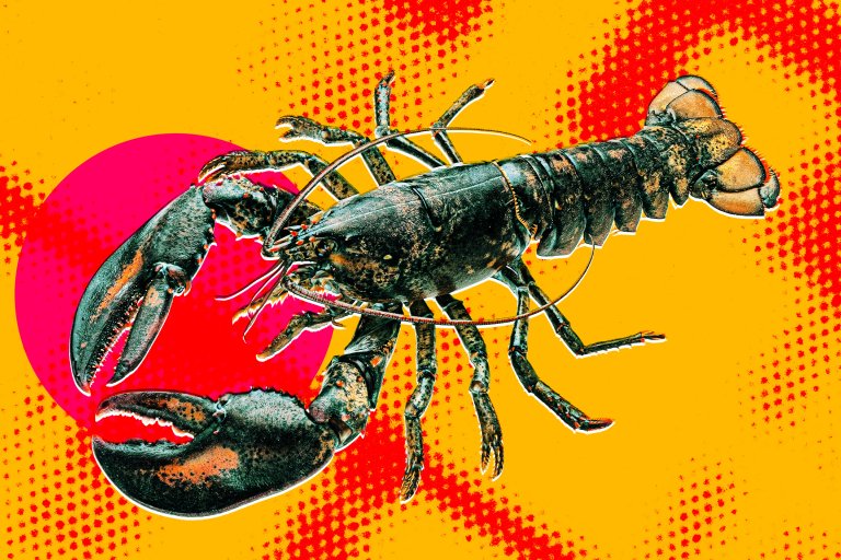 A graphic photo illustration featuring a lobster.