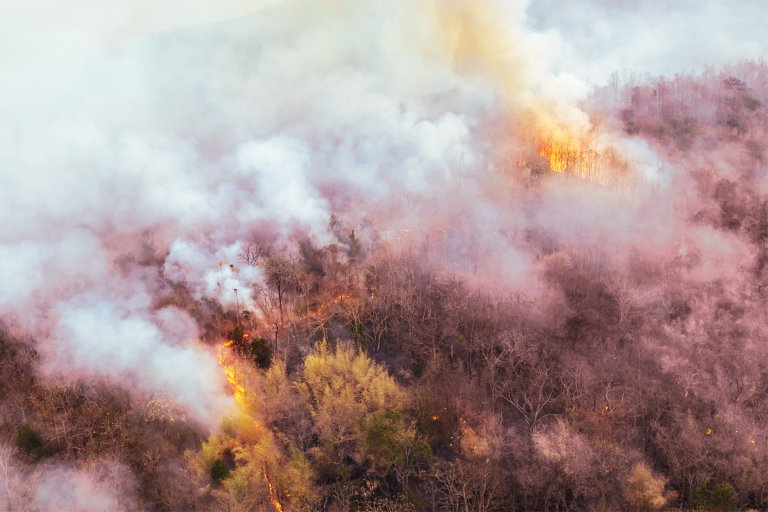 A color-treated photograph of wildfires, worsened by this year's El Niño.