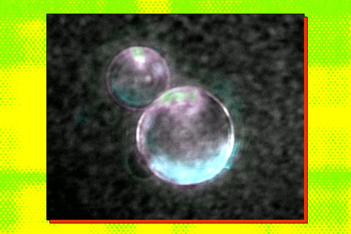 Two translucent, glowing bubbles with a faint purple and blue tint float against a dark, blurry background. The image is framed by a bright green and yellow border with a halftone dot pattern and a thin red outline around the central image.