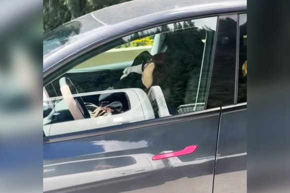 A screenshot of a mobile phone video showing a woman asleep behind the wheel of her Tesla as it drives down the highway.