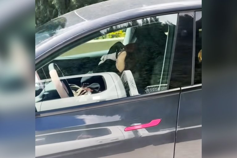 A screenshot of a mobile phone video showing a woman asleep behind the wheel of her Tesla as it drives down the highway.