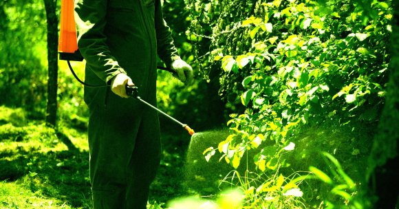 Person wearing a green protective suit and gloves spraying plants with a backpack sprayer in a lush, green garden.