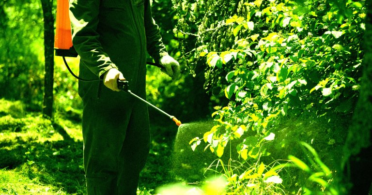 Person wearing a green protective suit and gloves spraying plants with a backpack sprayer in a lush, green garden.