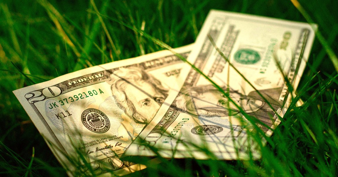A pair of $20 bills lying in the grass.