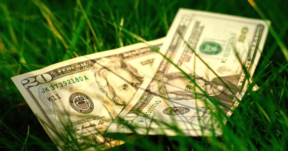 A pair of $20 bills lying in the grass.