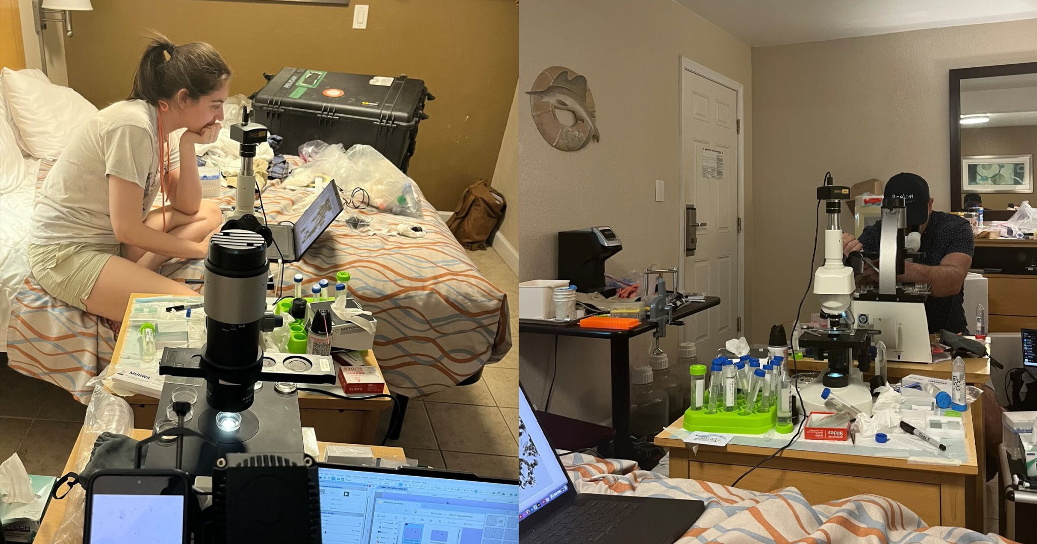 Rag Tag Team of Biologists Who Lost Funding Because of Trump Turned a Motel Room into Makeshift Lab…