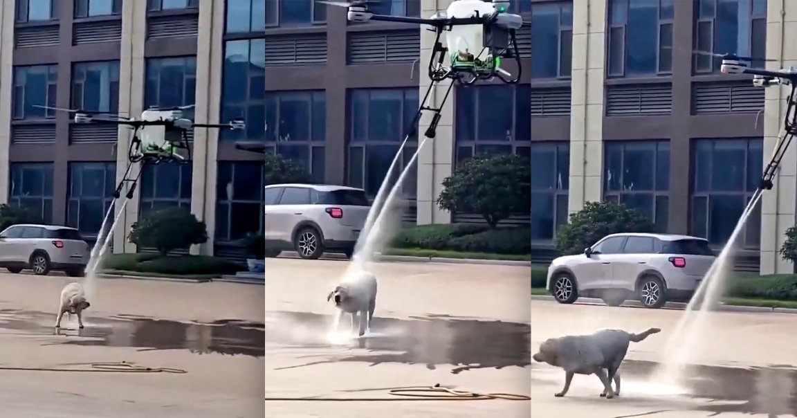 Screenshots of a video showing a drone showering a dog with water.