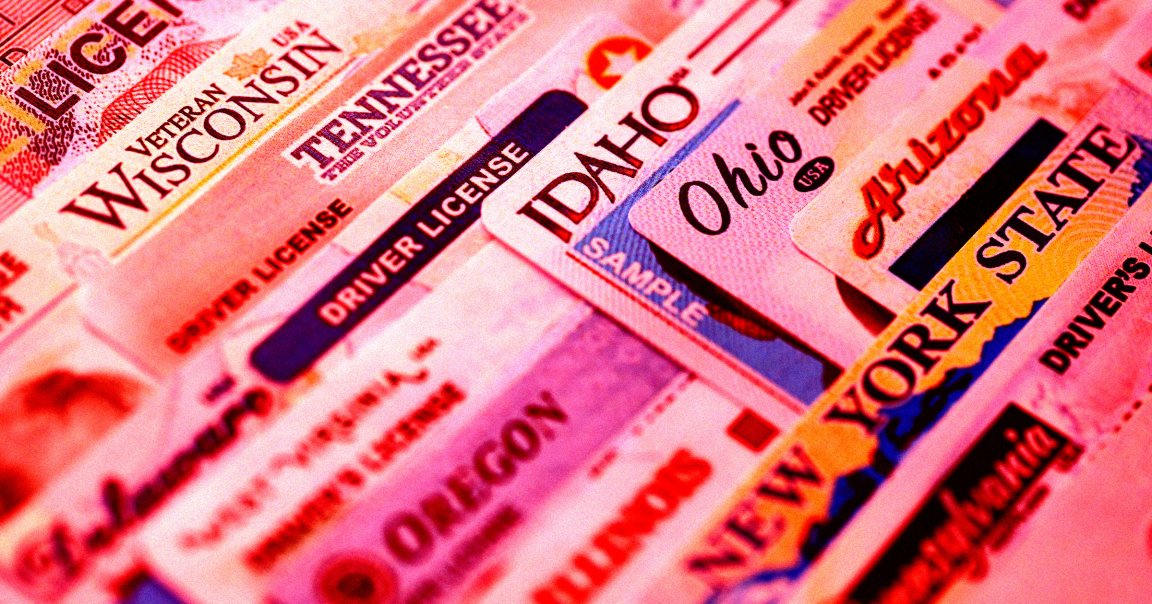 A stack of US drivers' licenses.