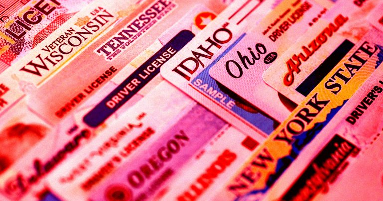 A stack of US drivers' licenses.