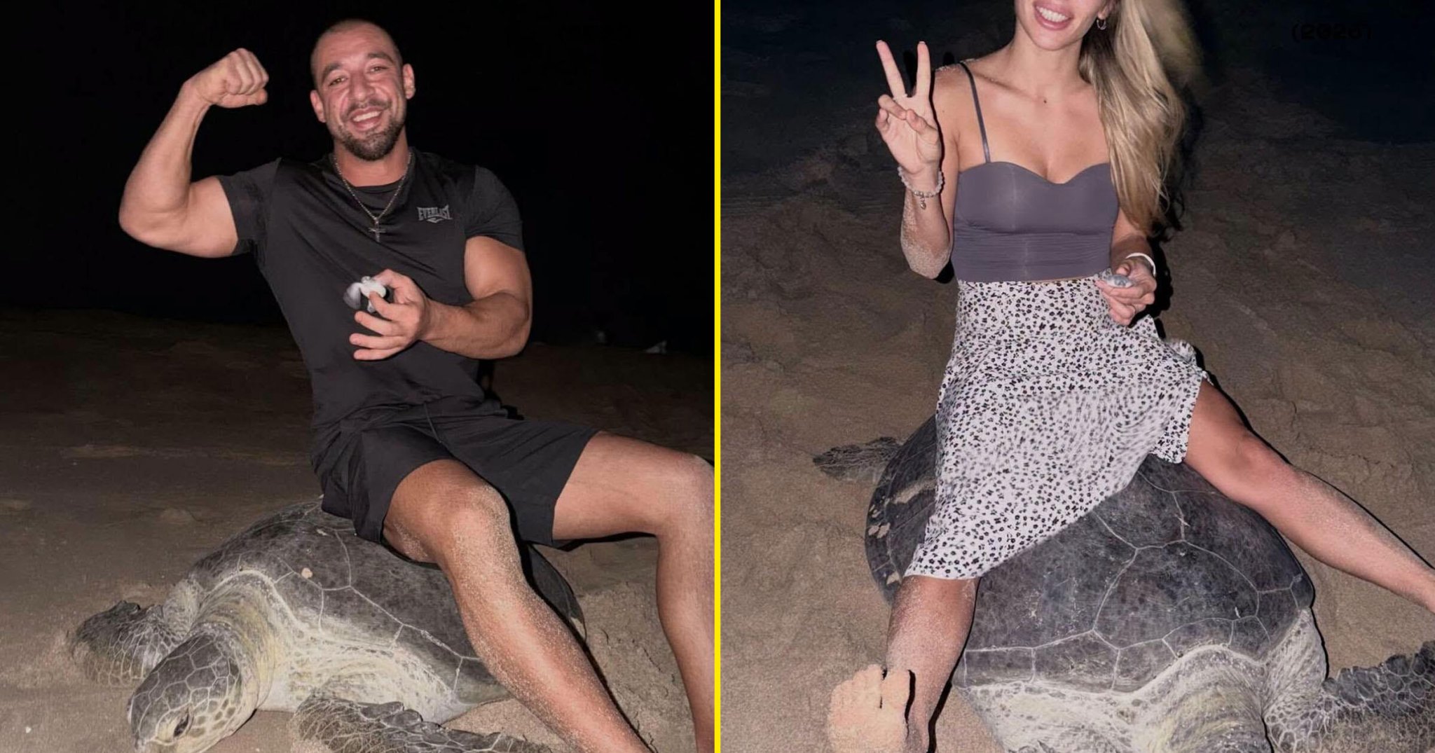 In Case You Still Have Faith in Humanity, Here’s an Influencer “Riding” a Sea Turtle While It Tries…