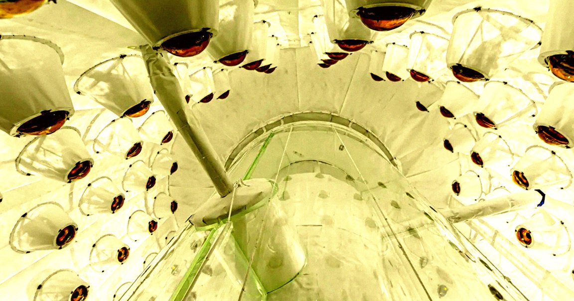A view from below the LZ Outer Detector, the world's largest dark matter detector.