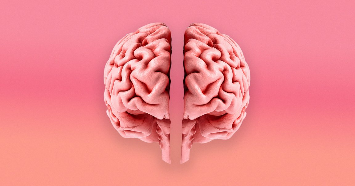 A photo illustration of two separate brains.