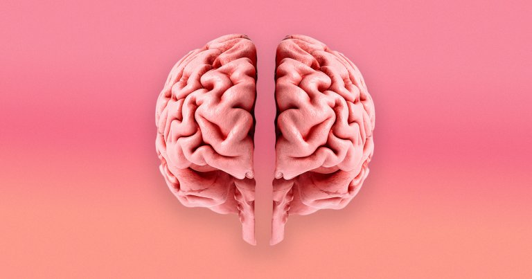 A photo illustration of two separate brains.