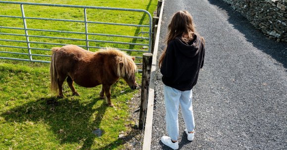 A teenager standing by a small horse.