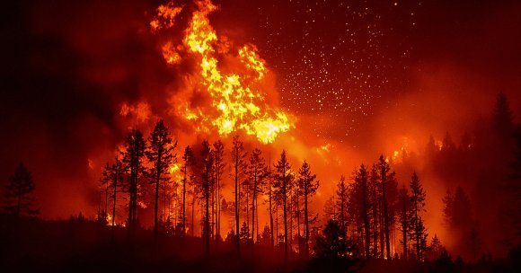 A photo of a brushfire.