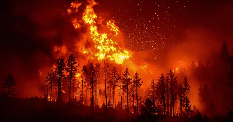 A photo of a brushfire.