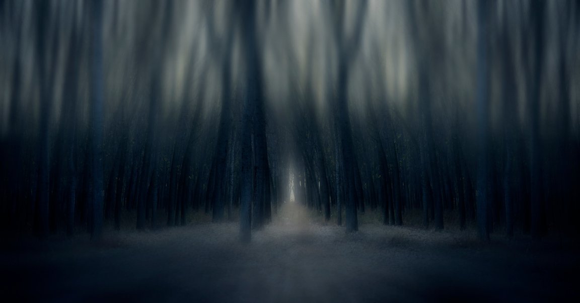 An illustration shows a dark and shadowy scene with objects resembling trees.