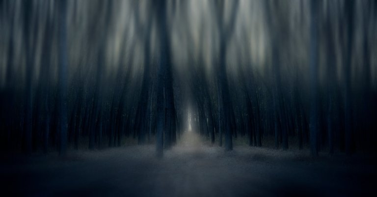 An illustration shows a dark and shadowy scene with objects resembling trees.