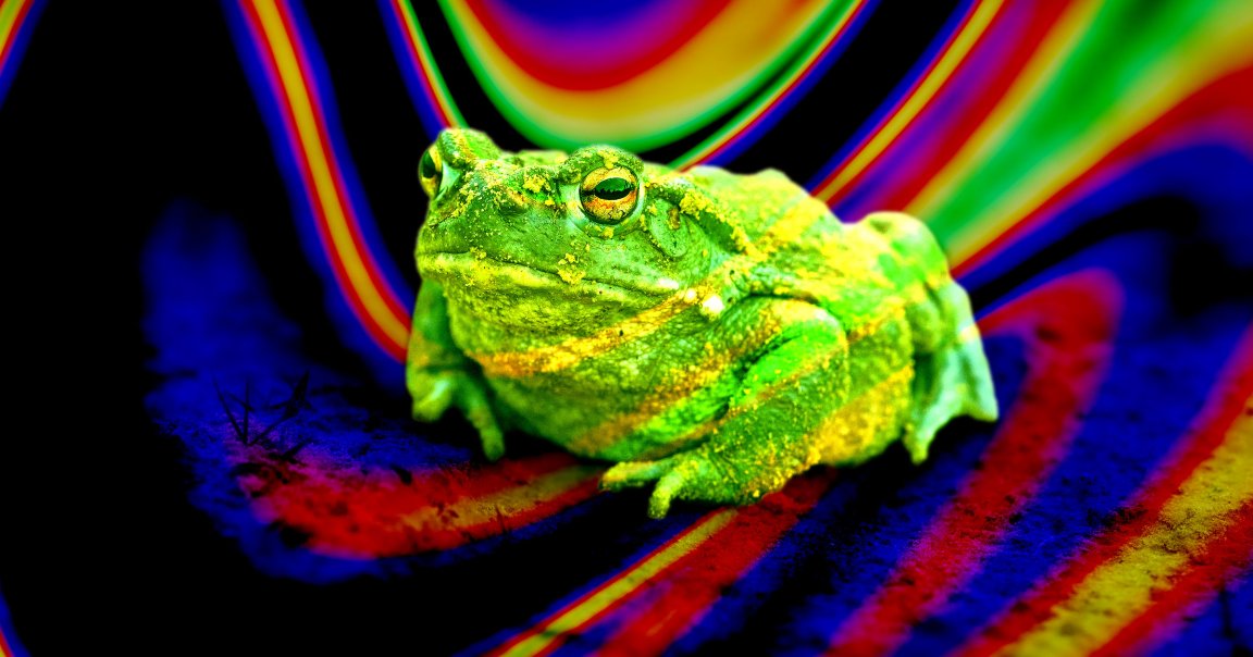 A psychedelic toad photo illustration.